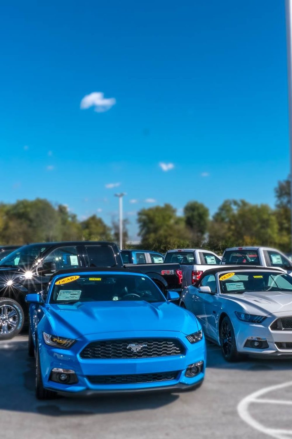 Ford dealer banner